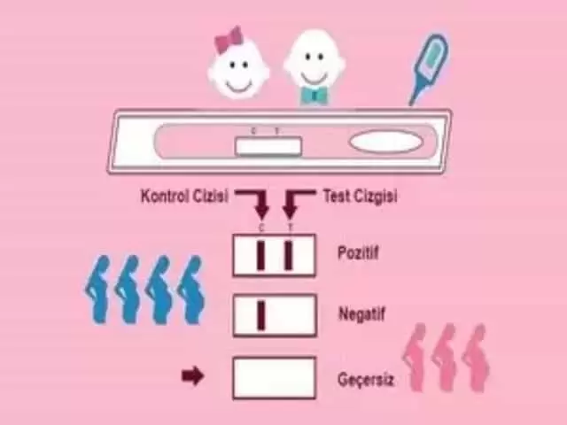 idrarda gebelik testi nasıl yapılır?